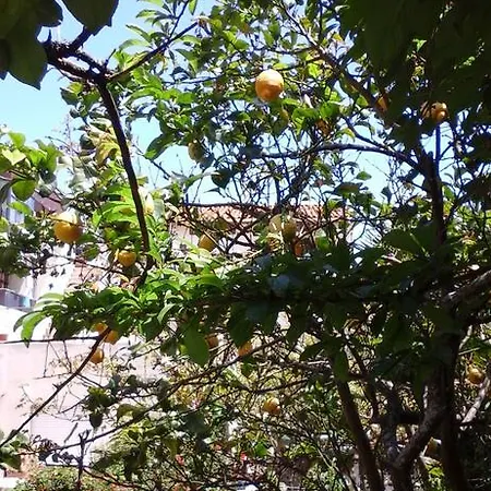 Da Melis 招待所 *