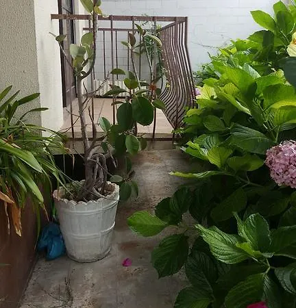 Da Melis 招待所