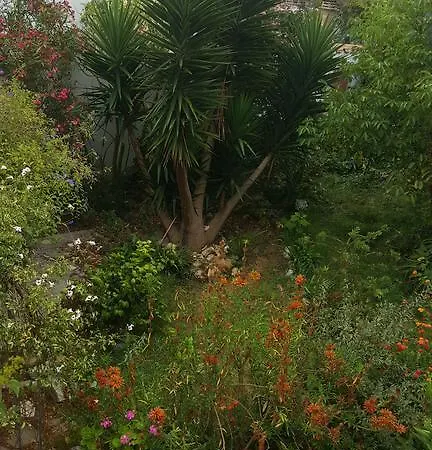 Da Melis * 布阿尔库什