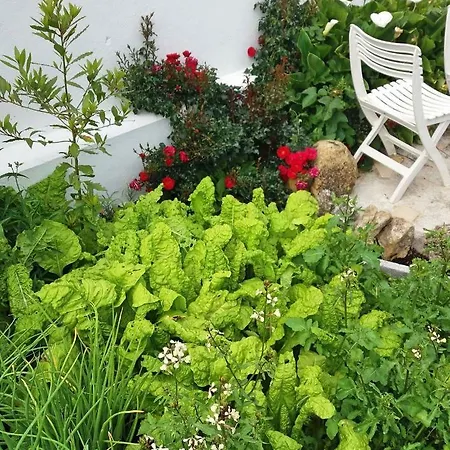 Da Melis * 布阿尔库什