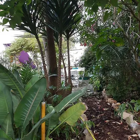 Da Melis 布阿尔库什