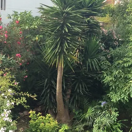 招待所 Da Melis *