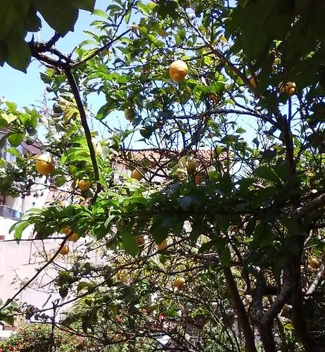 Da Melis בית הארחה *