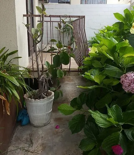 Da Melis בית הארחה