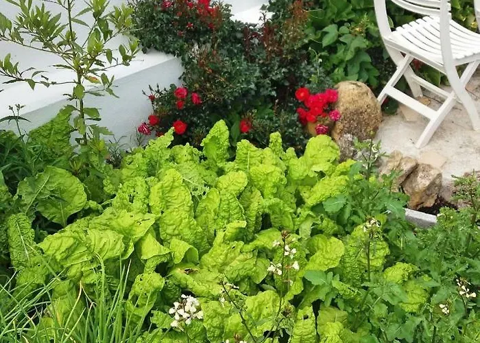 Da Melis * בוארקוס