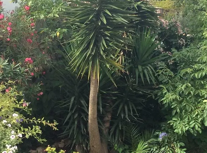 בית הארחה Da Melis *